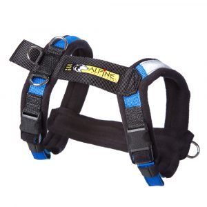 Urban-Trail-Adjustable-Harness-blue